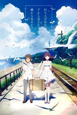 Affiche du film Fireworks
