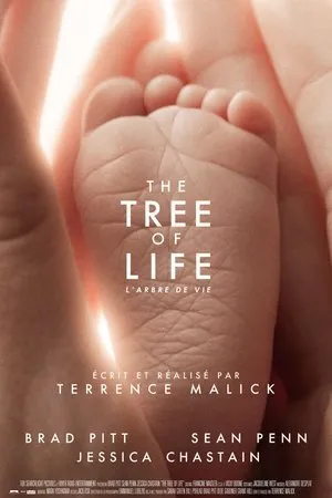 Affiche du film The Tree of Life
