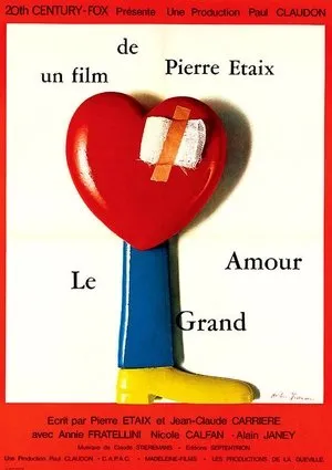 Affiche du film Le grand amour