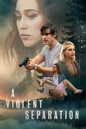 Affiche du film A Violent Separation