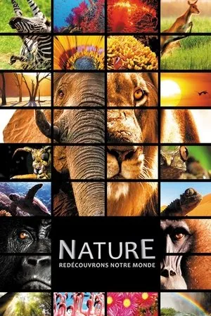 Affiche du film Nature