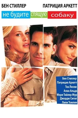 Affiche du film Flirter avec les embrouilles