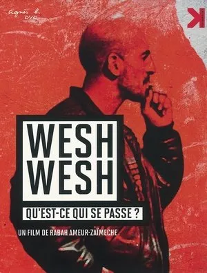Affiche du film Wesh wesh, qu'est-ce qui se passe?
