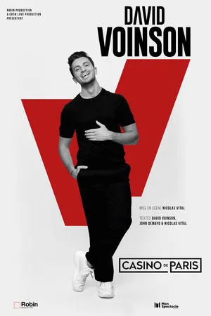 Affiche du film David Voinson