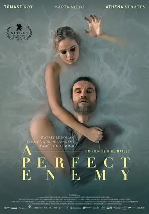 Affiche du film A Perfect Enemy